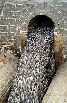 Water Flow Art/Feather Art Water Flow Art/Feather Art 7