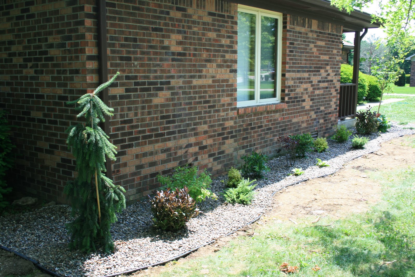 Snippets Planting 101