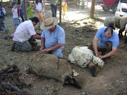 Fiesta de la Esquila en la escuela de Quinamavida