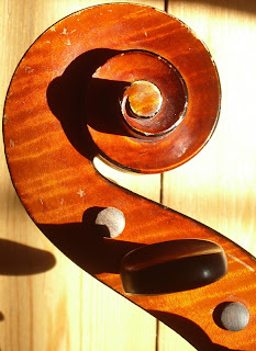 cello head profile natacha colmez