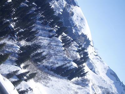 alps mountain snow trees natacha colmez