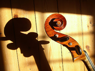 cello shadow head profile natacha colmez
