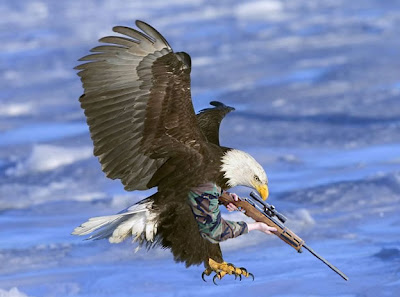 eaglesnipe.jpg