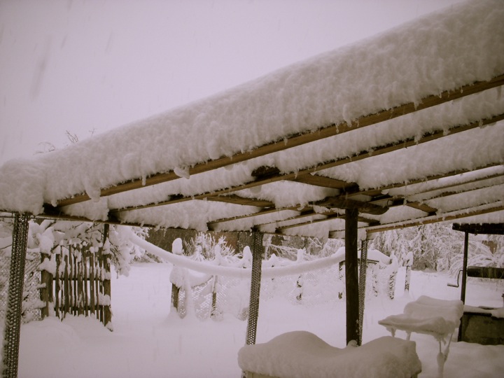 [DSCN9752.JPG]