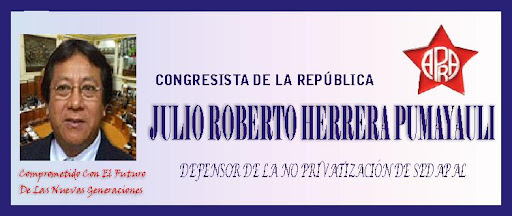 Congresista Julio Herrera Pumayauli