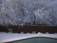Snow Day
