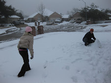 Snowball Fight