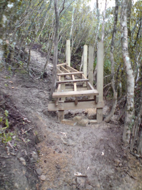 [DSC00017.JPG]