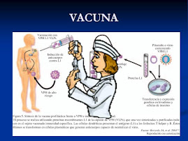 EFECTO DE LA VACUNA SOBRE EL VPH