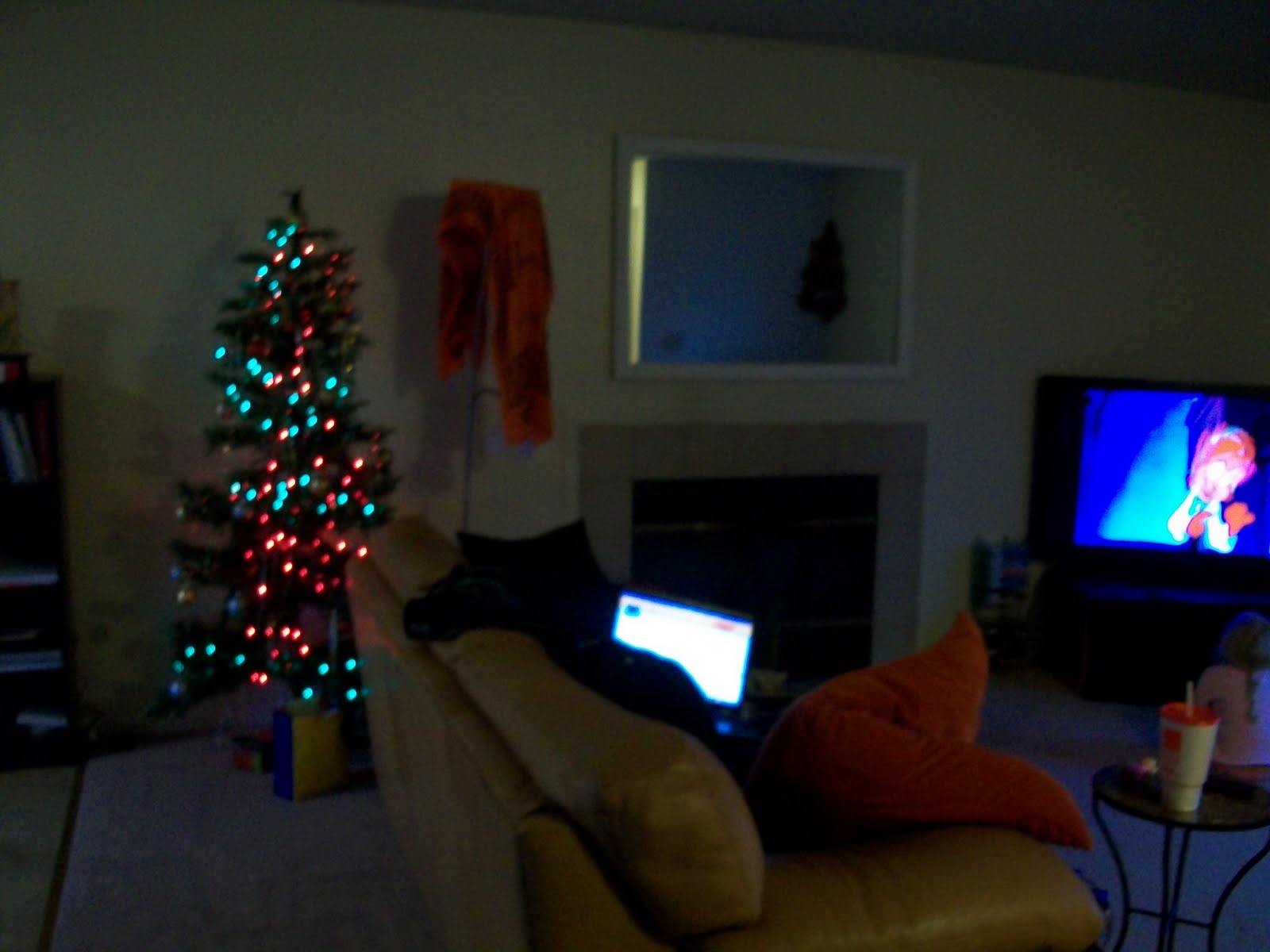 [100_0679.JPG]