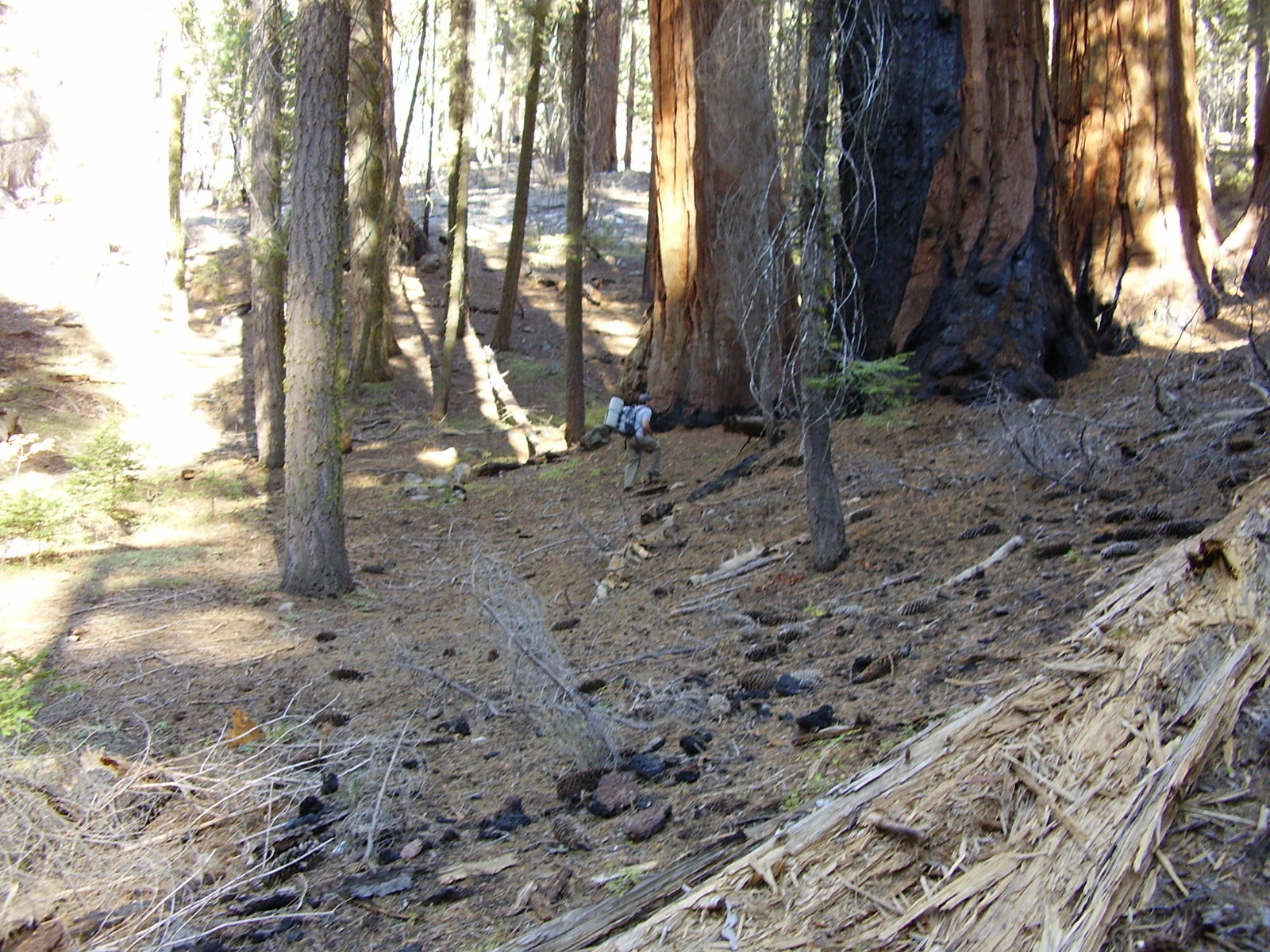 [PA090036.JPG]