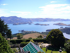 The view from Larnach Castle