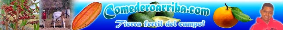 Comedero Arriba