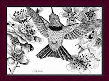 "Hummingbird" Series 2
