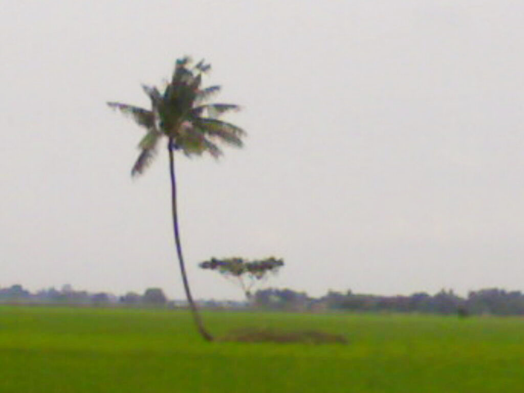 kampung kobak sumur Agustus 2010 kampung kobak sumur Agustus 2010