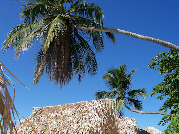 Verão em Boipeba