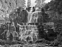 Chittenango Falls