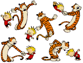 Calvin ve Hobbes