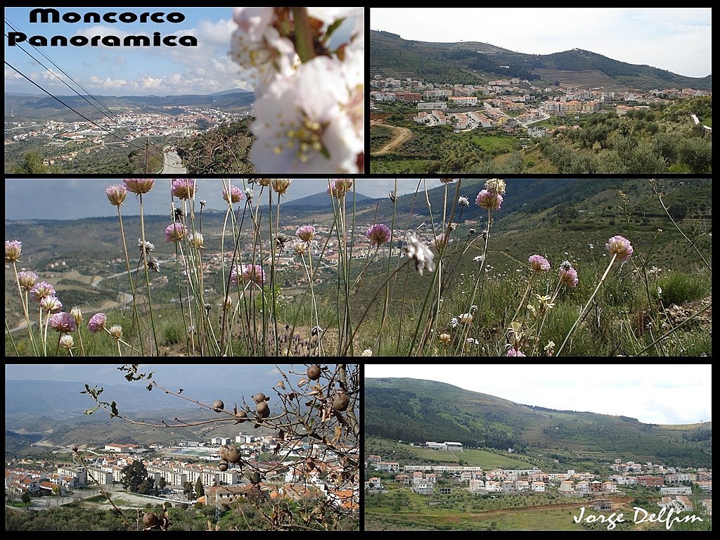 [Moncorvo_panoramica.jpg]