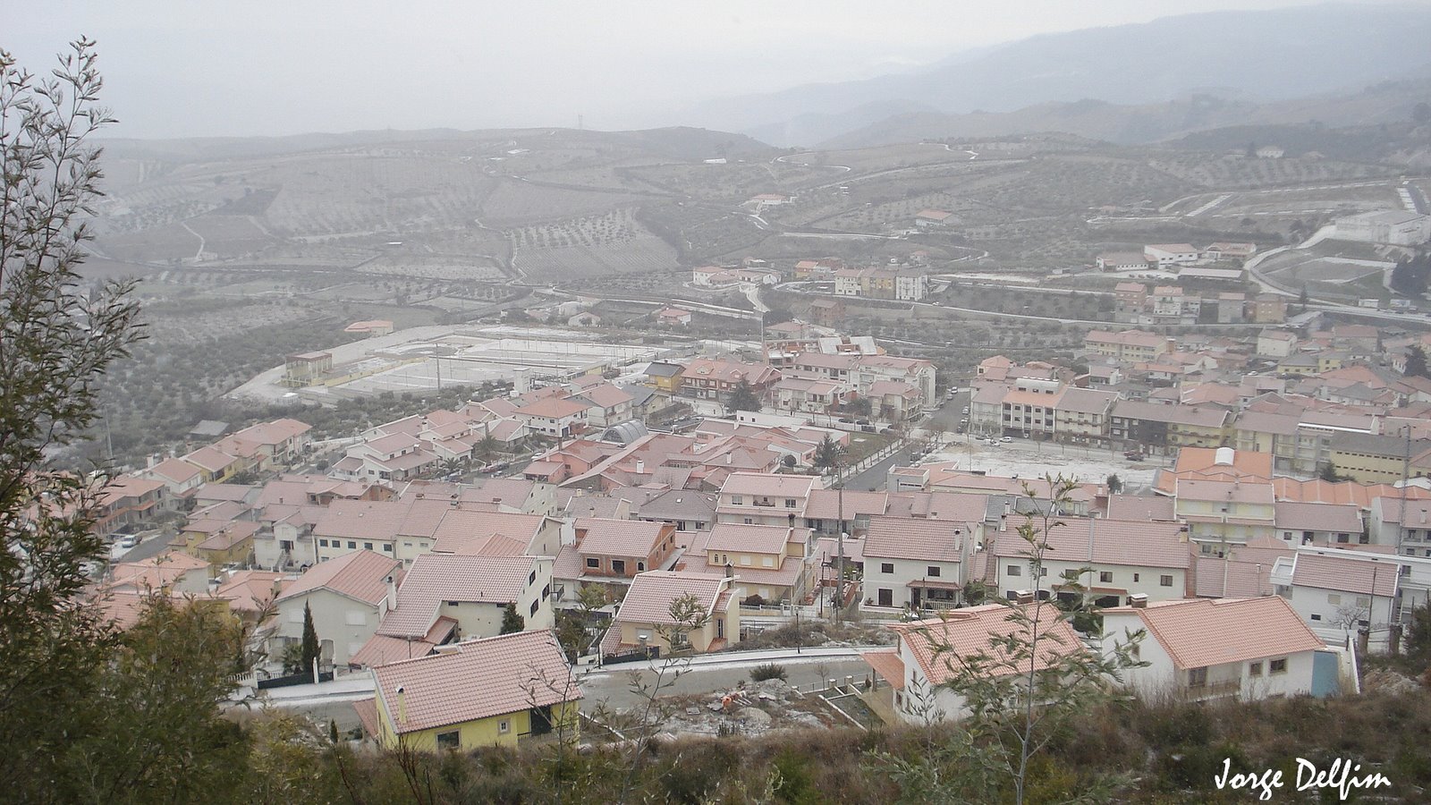 [DSC01425s.jpg]
