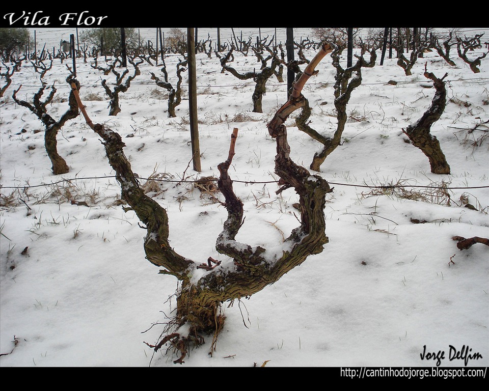 [Neve+em+Vila+Flor+(10).jpg]