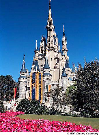 Walt Disney World Magic Kingdom image