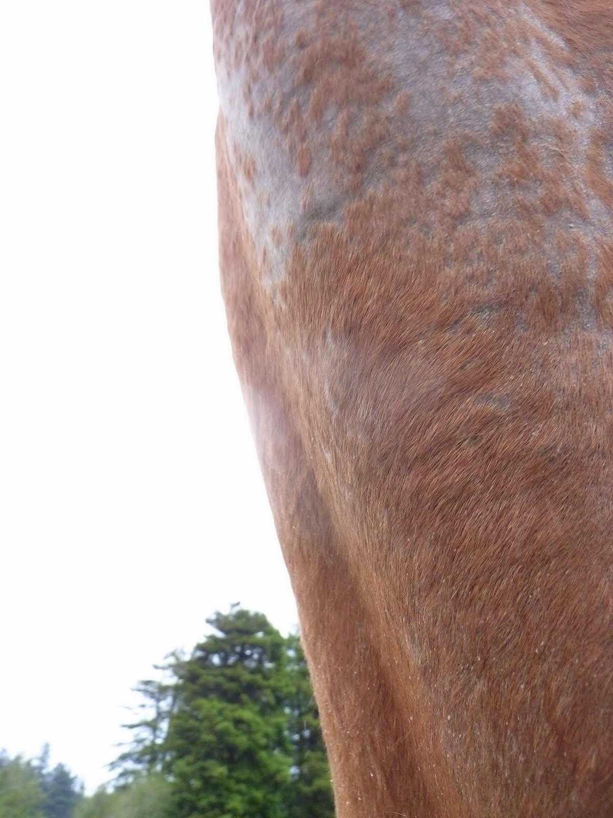 Baba Yaga's Mirror Neck Thread Worms, Part 2