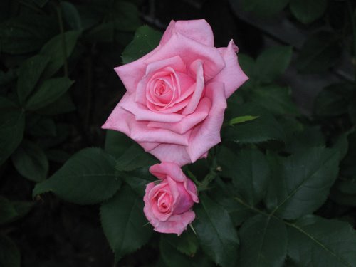 [IMG_1942.JPG]