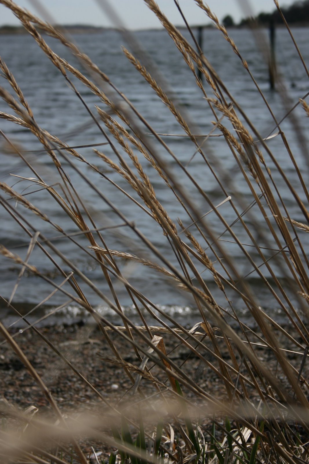 [IMG_4766.jpg]
