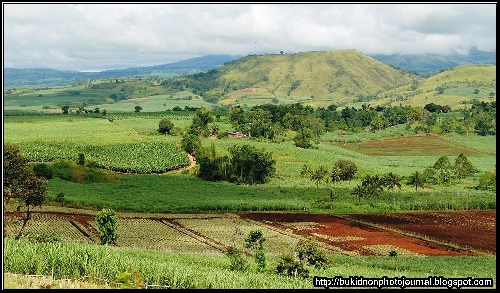 Bukidnon Photo Journal Valley Farms in Maramag and Pangantucan