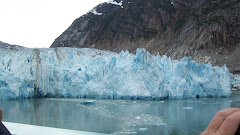 Endicott Glacier