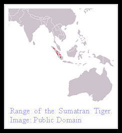 Sumatran Tiger distribution