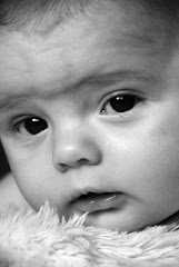 Ryder - Age 6 Months