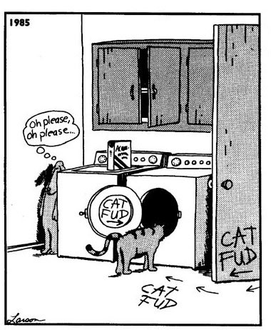 [cat+fud.bmp]