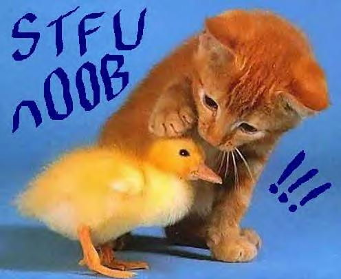 stfu noob