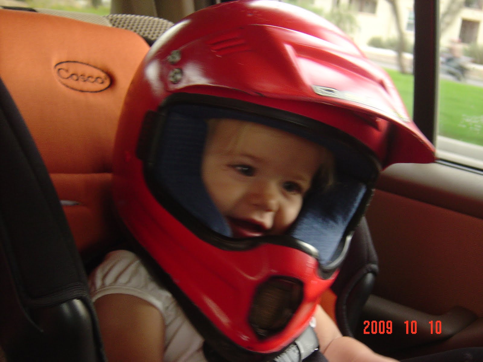 [DSC00556.JPG]