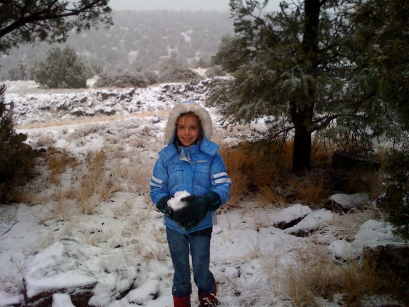 [Snow+GA.bmp]