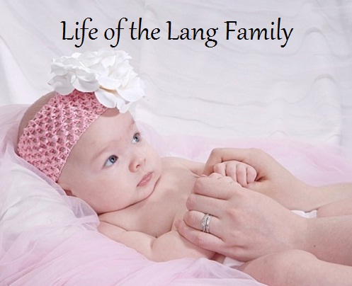 Life as a Family of 3