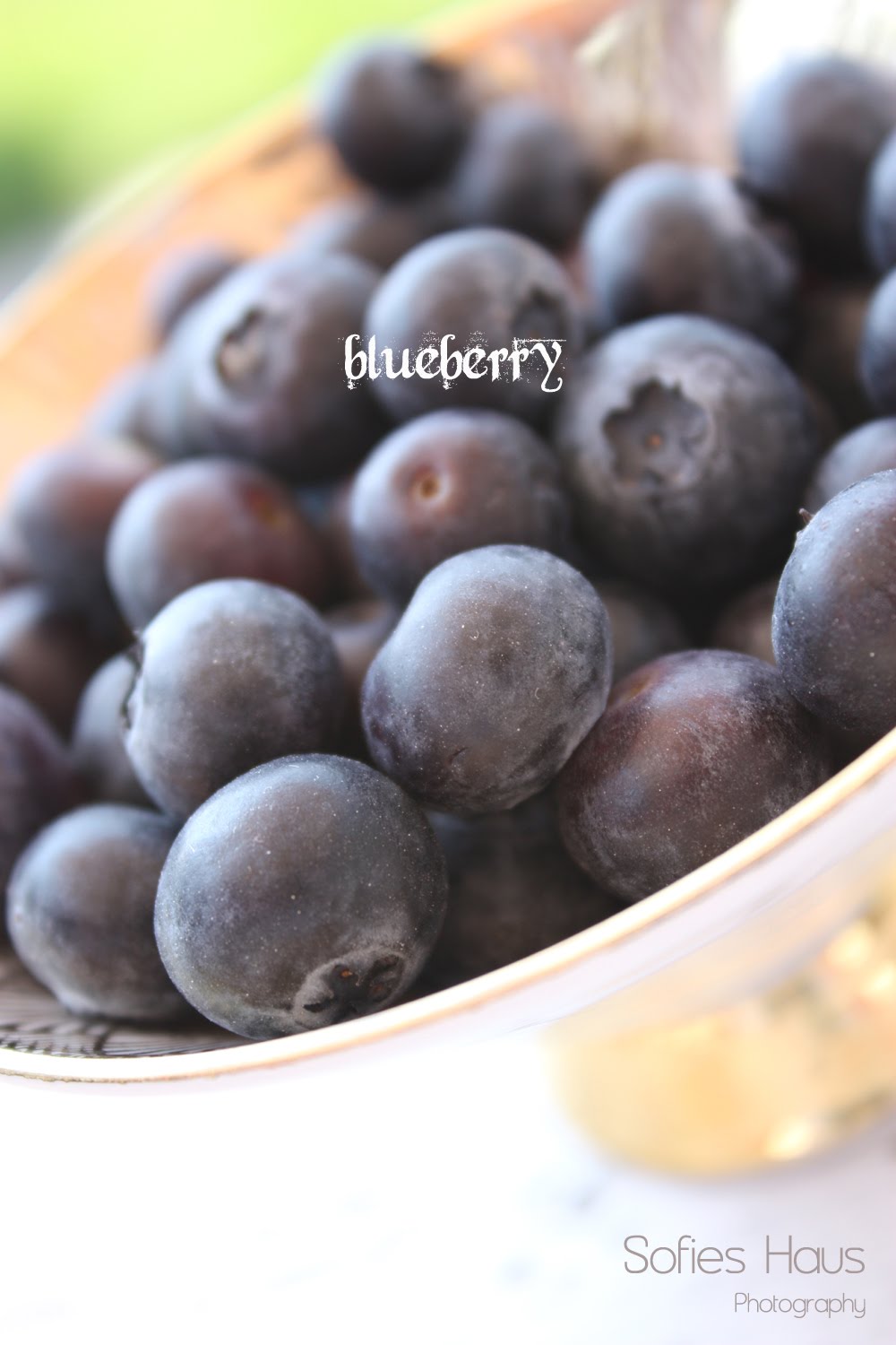 Blueberry Muffins Butiksofie