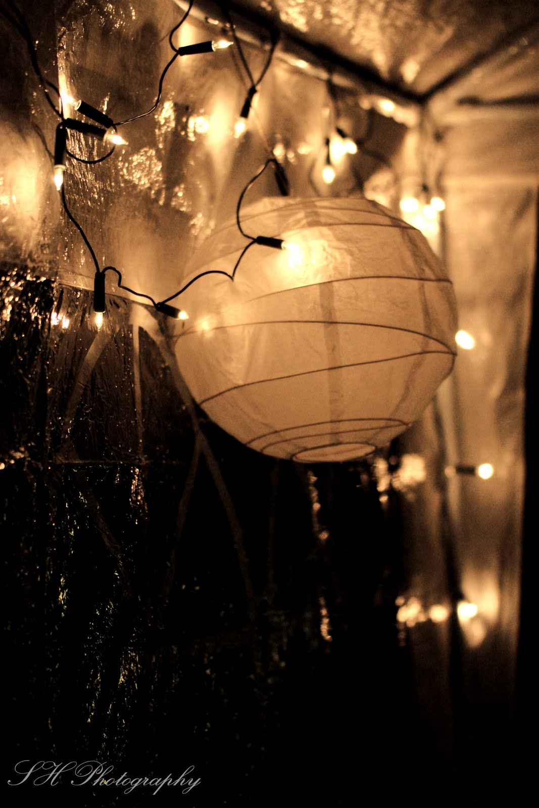 All Whites Butiksofie