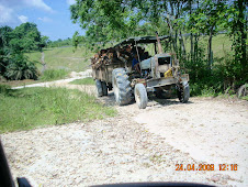 Loading Oil Palmfruit With Tractor
