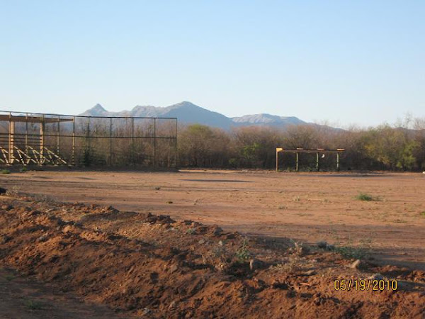 El estadio