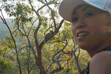 Hiroko and the Koala