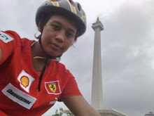 bike to monas, 2009