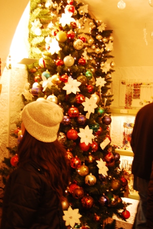 [DSC_0120.JPG]