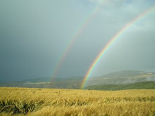 Un arco iris en mi pueblo