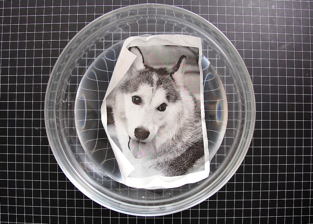 Scrapperlicious Packing Tape Transfer