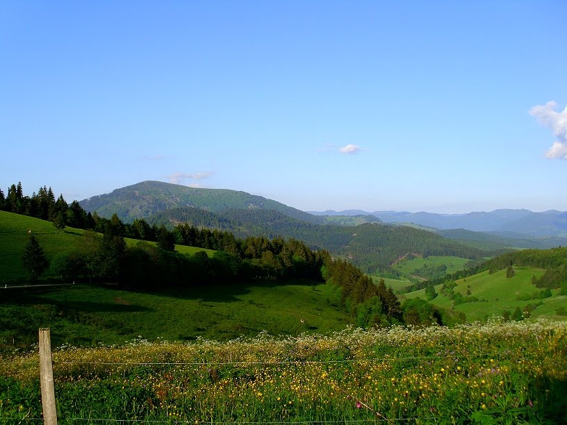 Mutter Kind Kur Im Schwarzwald Die Ersten Tage Und Warum Ich Nur