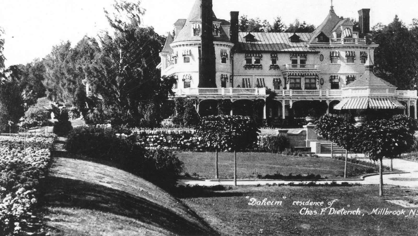 Frau Vogeli January 2018