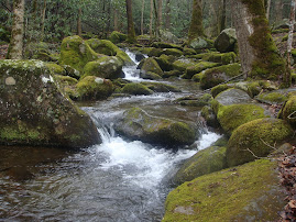 Stream at Big Creek